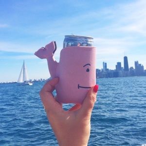NWT set of 2 vineyard vines whale coozie VSCO